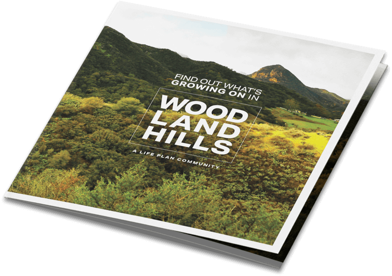 Woodland Hills Direct Mail Brochure Cover